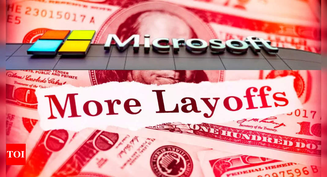 You are currently viewing Microsoft lays off DEI team: What are the risks and perks of this job role in 2024?